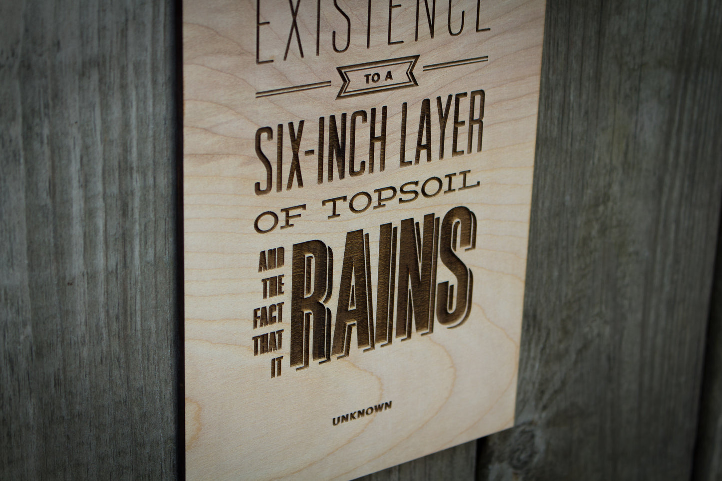 "Topsoil and Rain" Wall Art